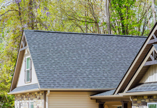 Best Sheet Metal Roofing  in Springfield, KY